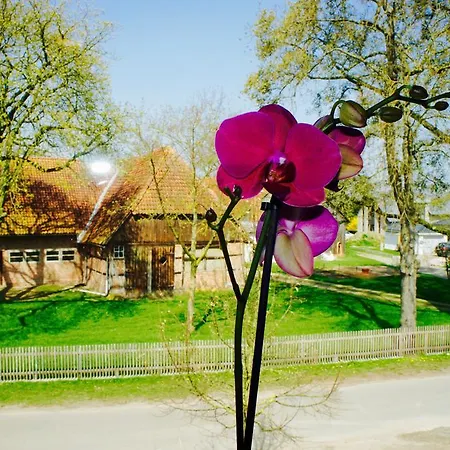 Konukevi Chez Meinen Wedemark