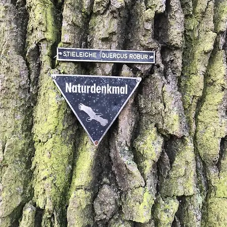 Chez Meinen Konukevi 3*